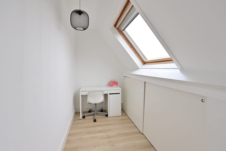 Foto 14 van Eekhoorn 2