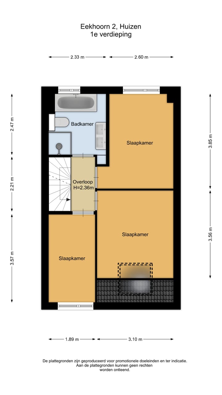 Foto 20 van Eekhoorn 2