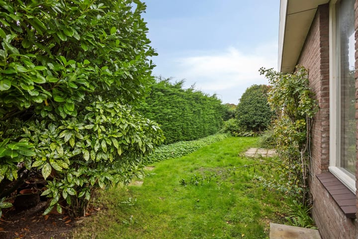 Photo 21 of Grutto 35