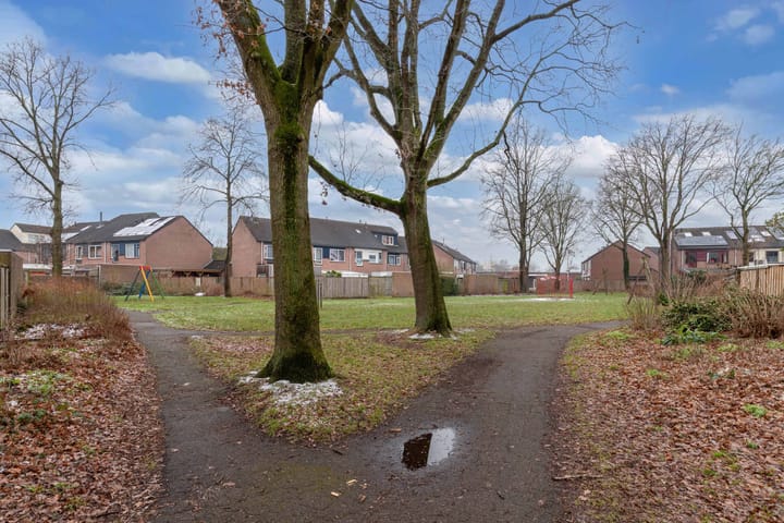 Photo 29 of Populier 208