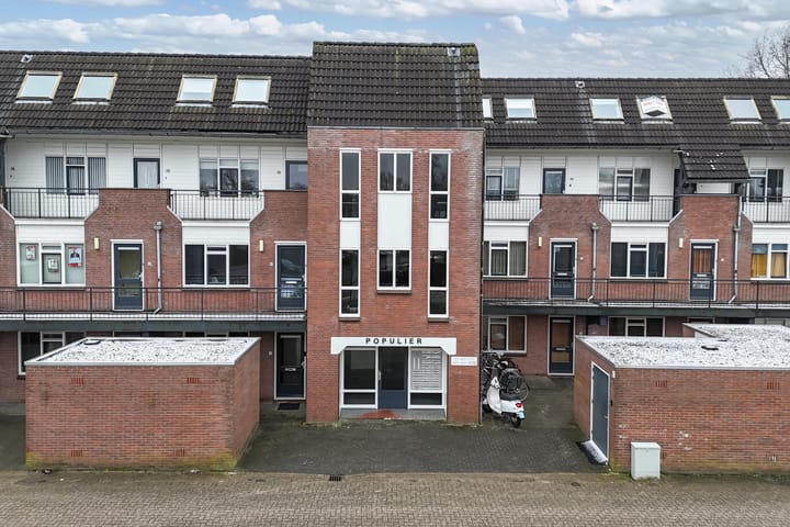 Photo 30 of Populier 208