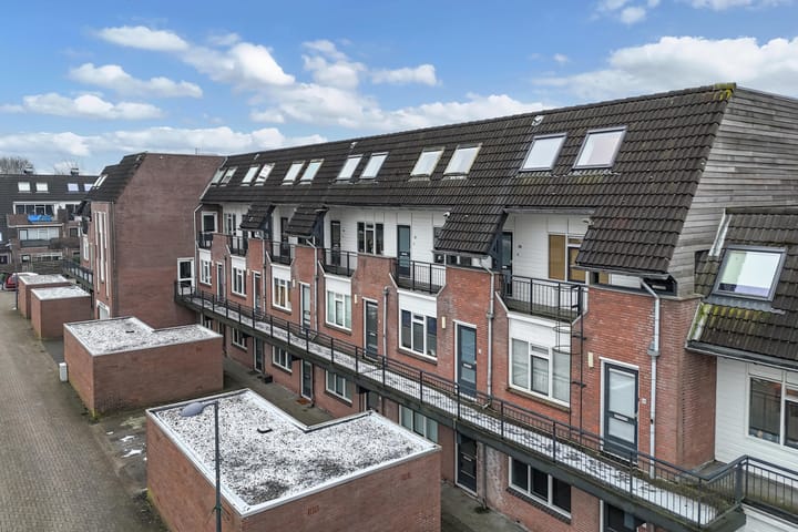 Photo 33 of Populier 208