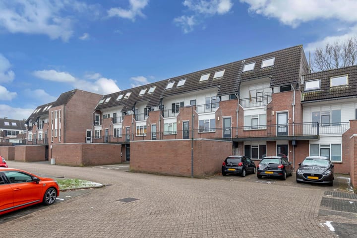 Photo 36 of Populier 208