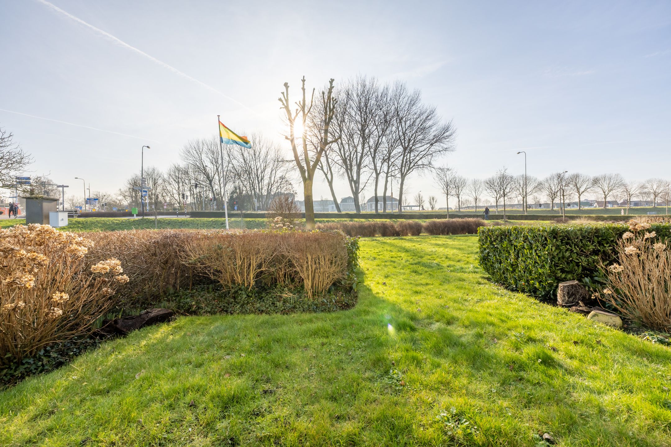 Foto 21 van Zuiderweg 185