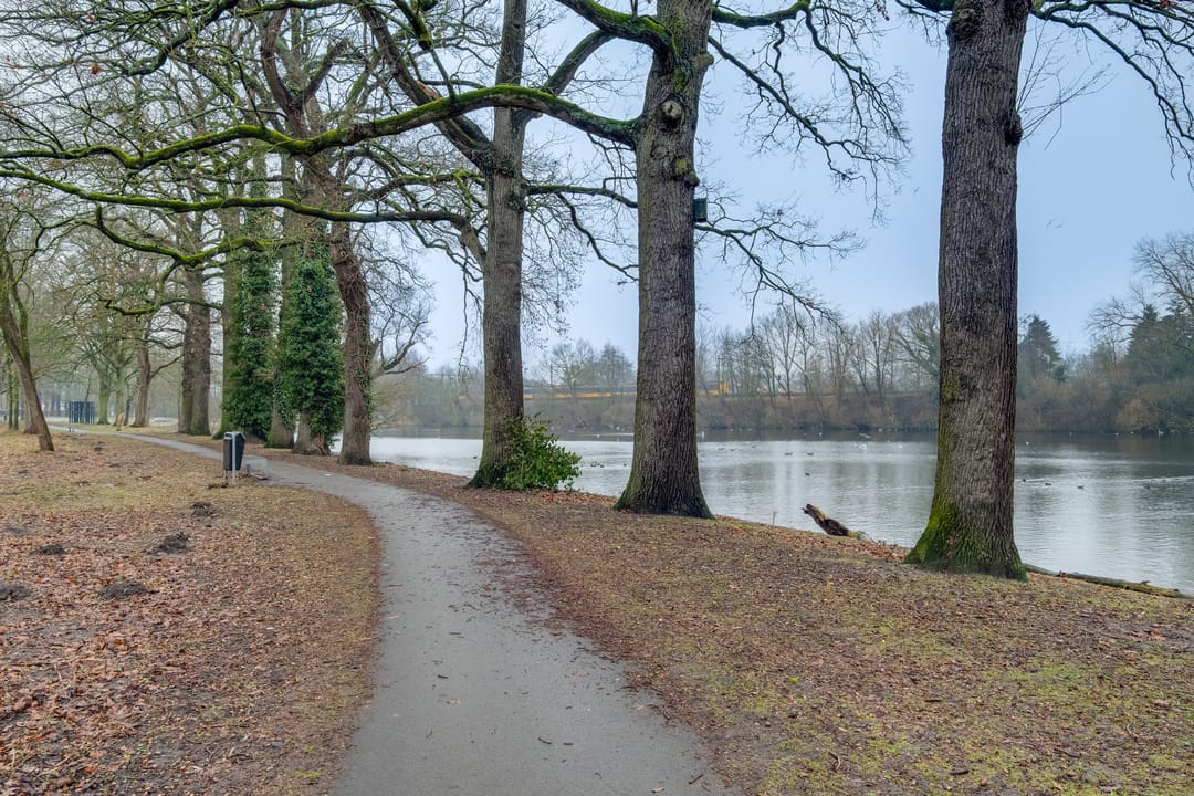 Photo 41 of Zaanstraat 188