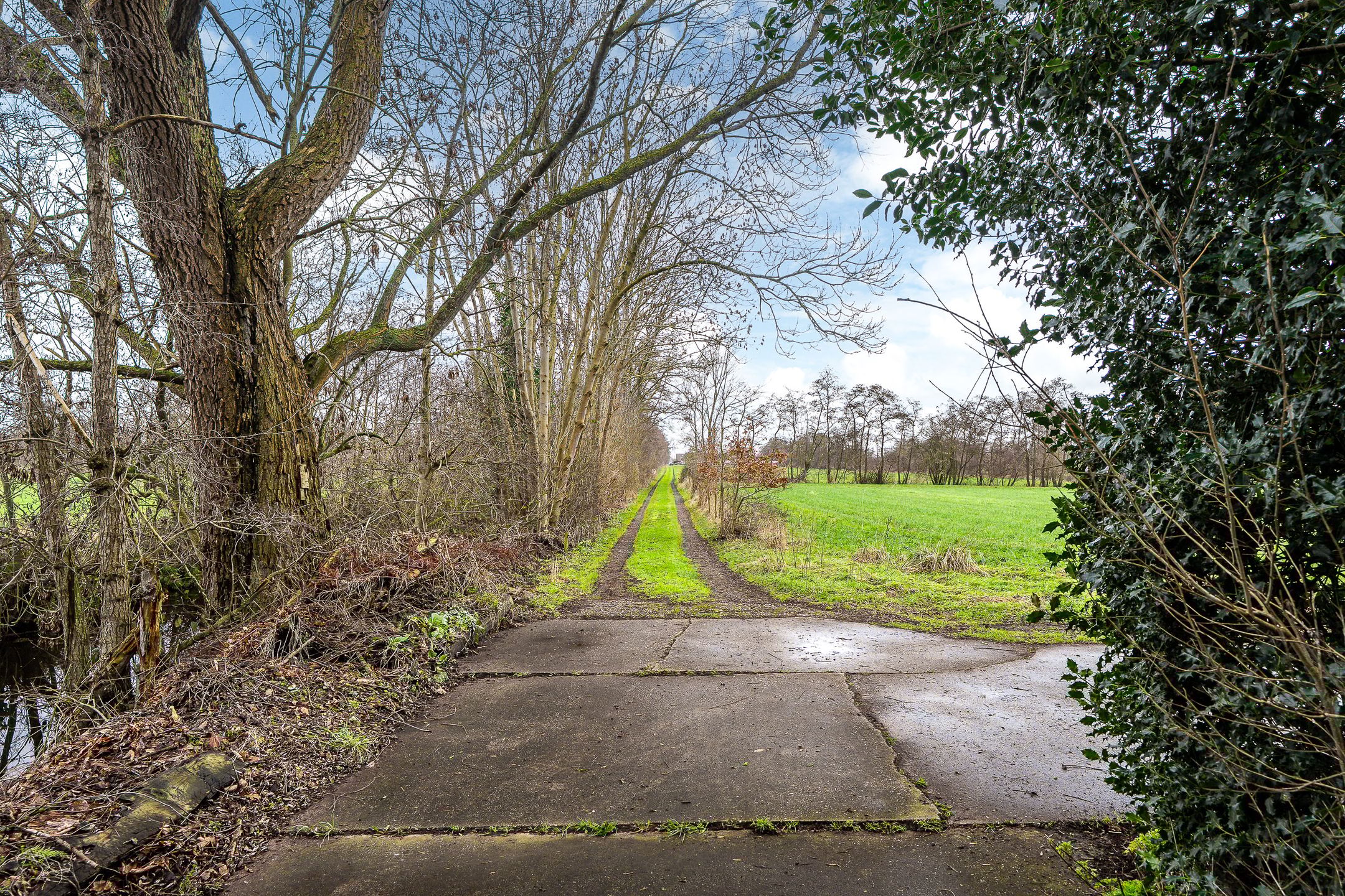 Photo 51 of Siktaris Eringawyk 1