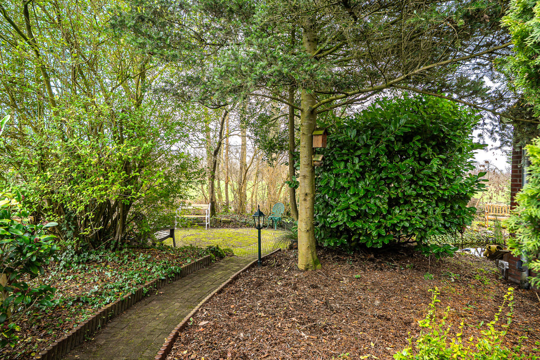 Photo 62 of Siktaris Eringawyk 1