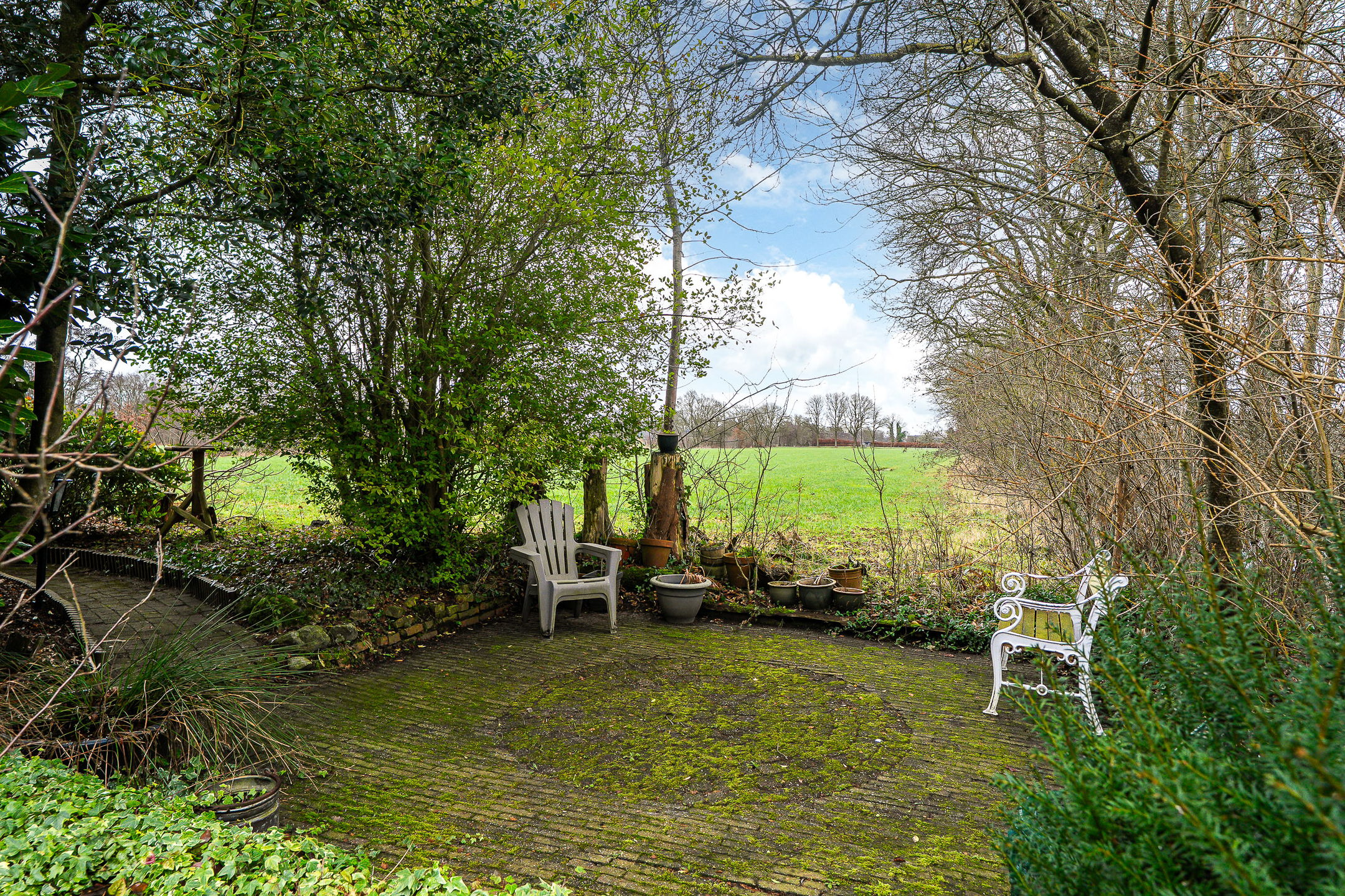 Photo 63 of Siktaris Eringawyk 1