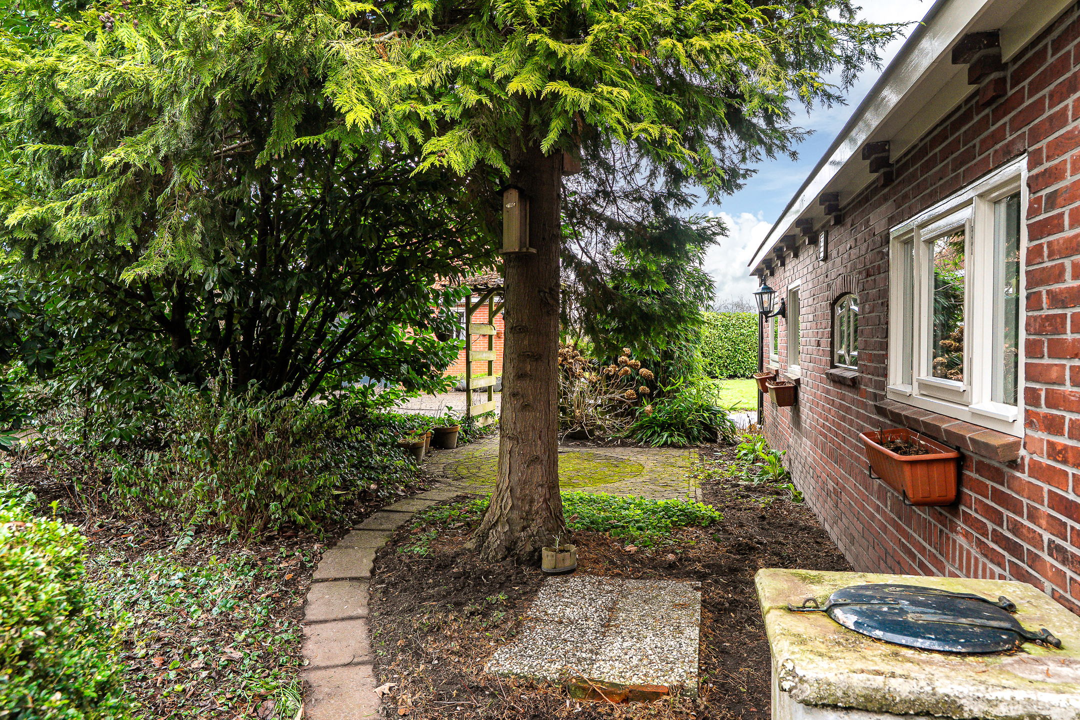 Photo 66 of Siktaris Eringawyk 1