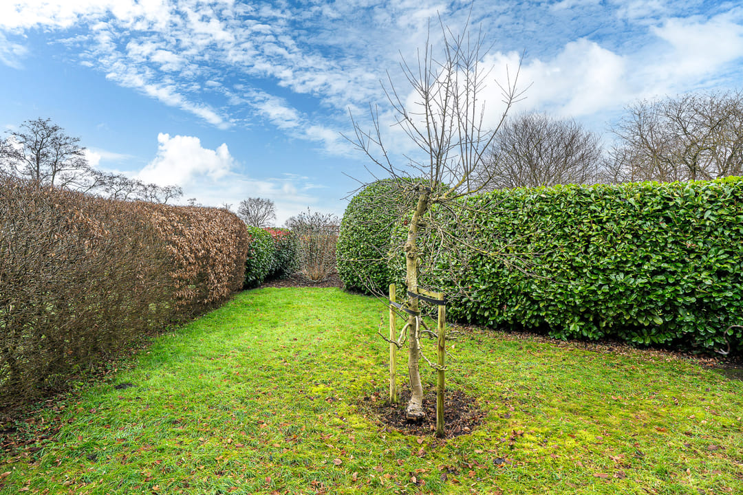 Photo 53 of Siktaris Eringawyk 1