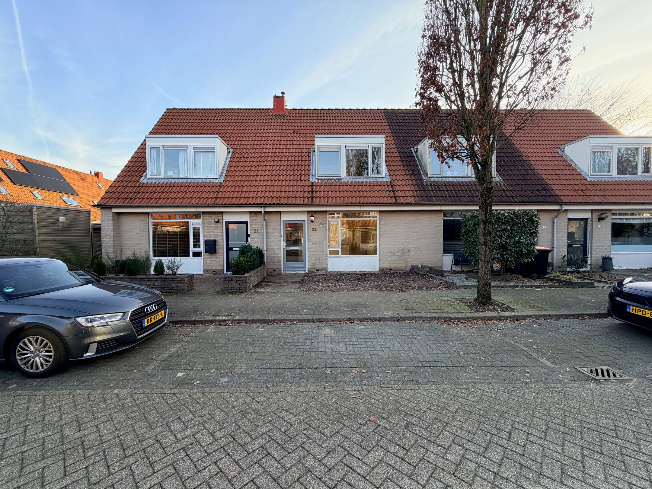 Foto 3 van Kaasjeskruid 23