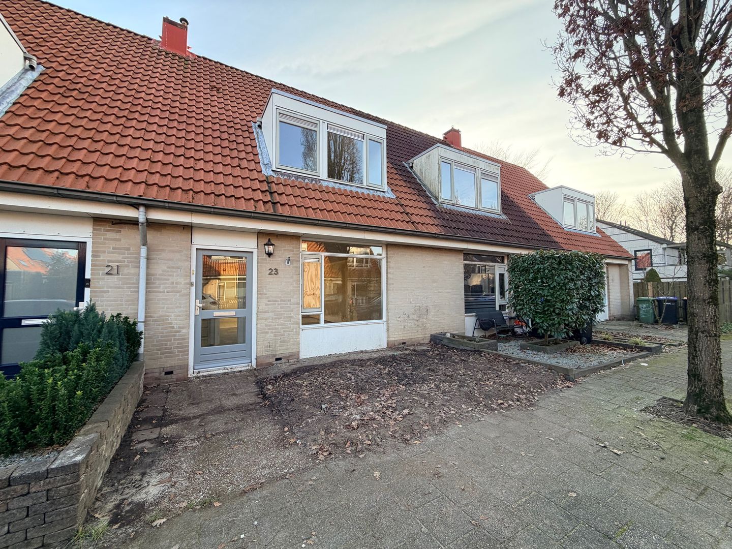 Foto 4 van Kaasjeskruid 23