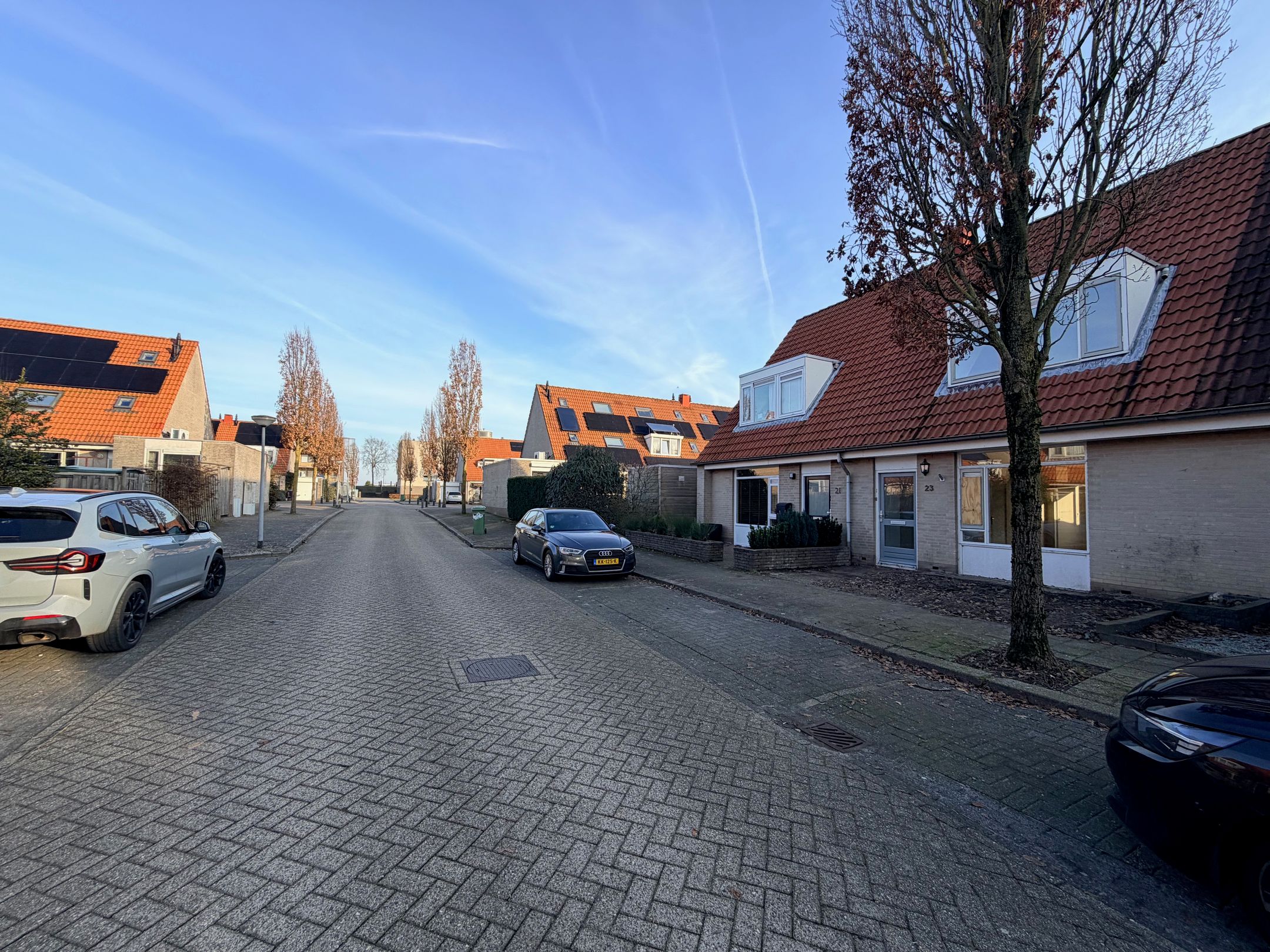 Foto 6 van Kaasjeskruid 23