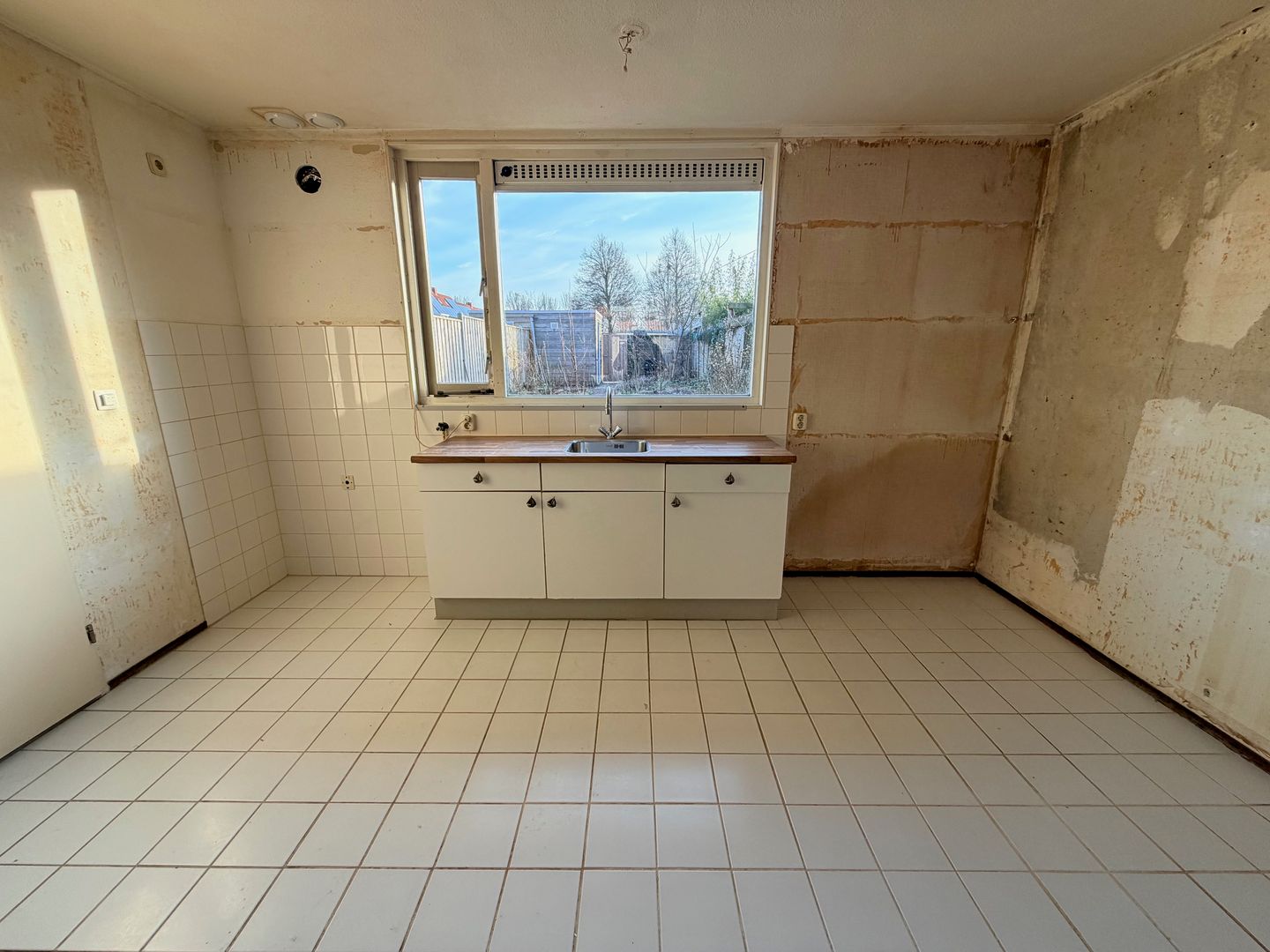 Foto 14 van Kaasjeskruid 23