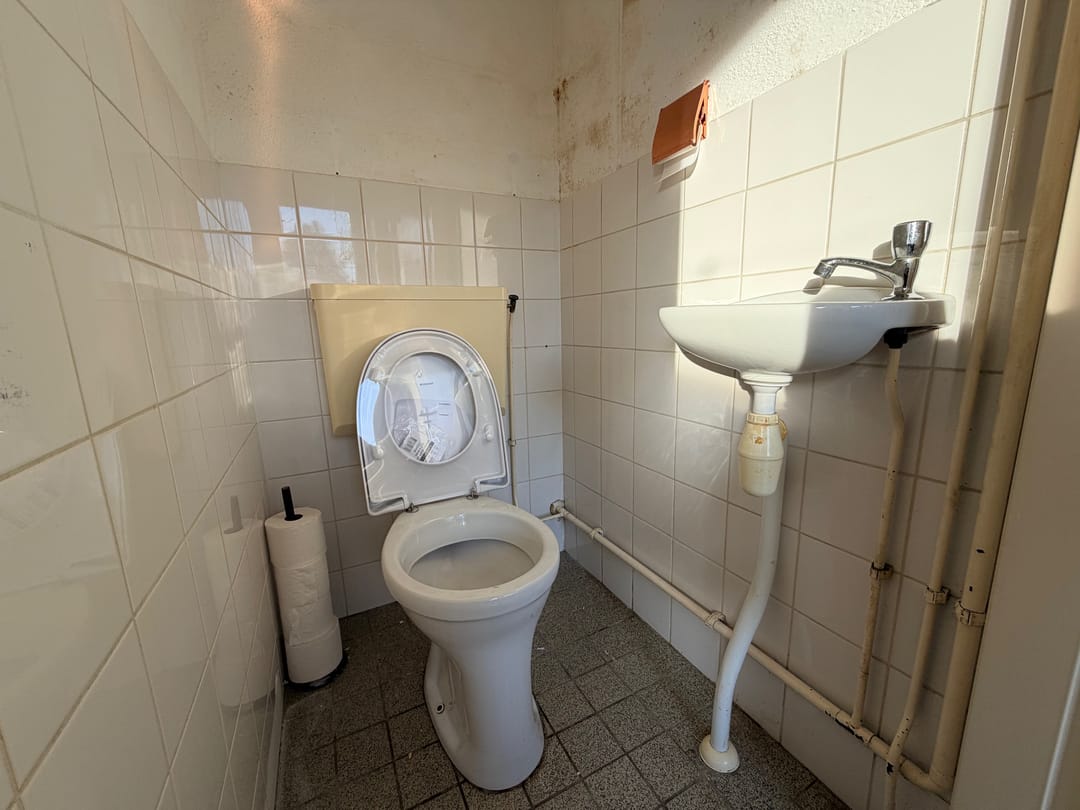 Foto 17 van Kaasjeskruid 23