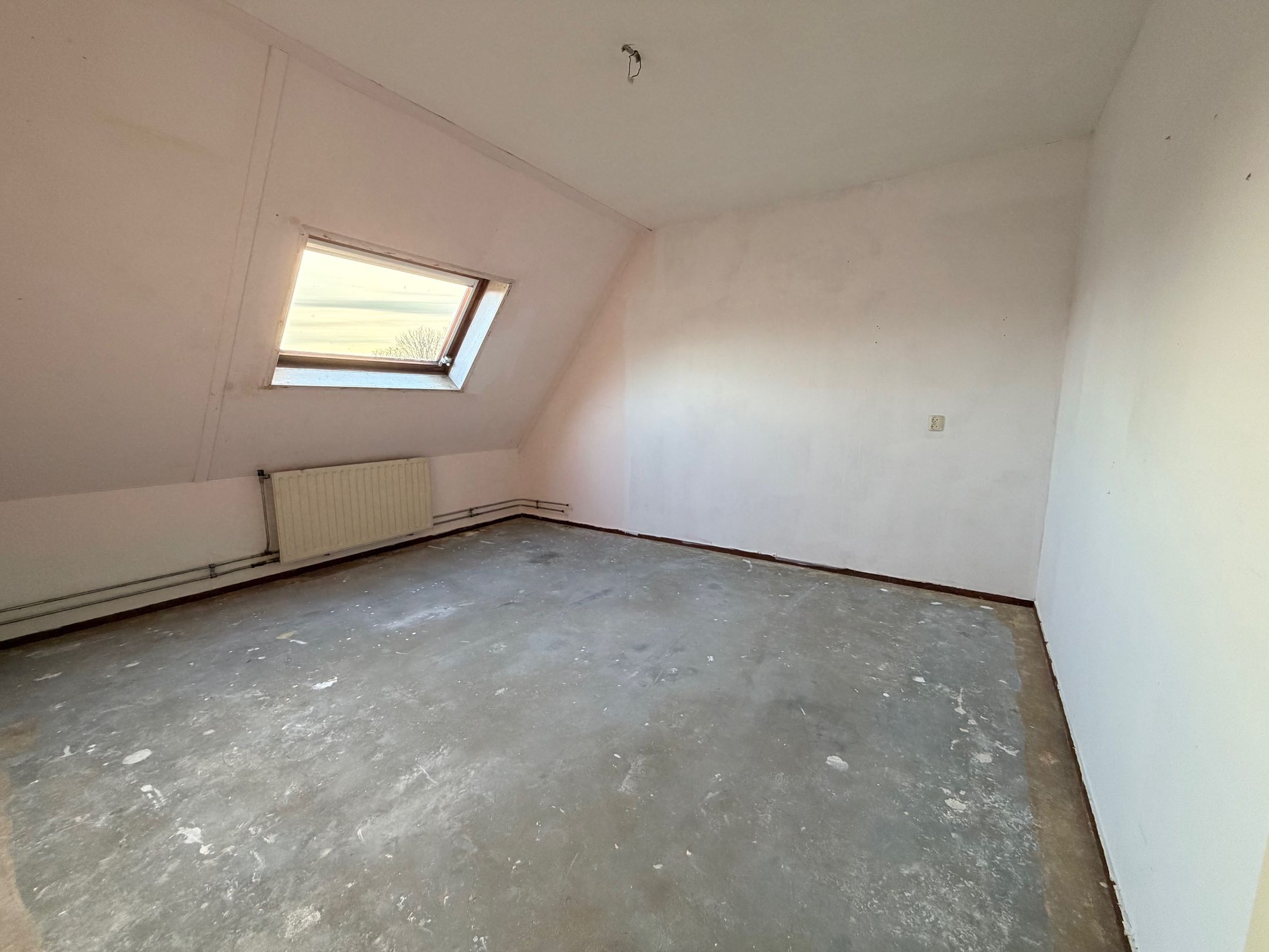 Foto 18 van Kaasjeskruid 23