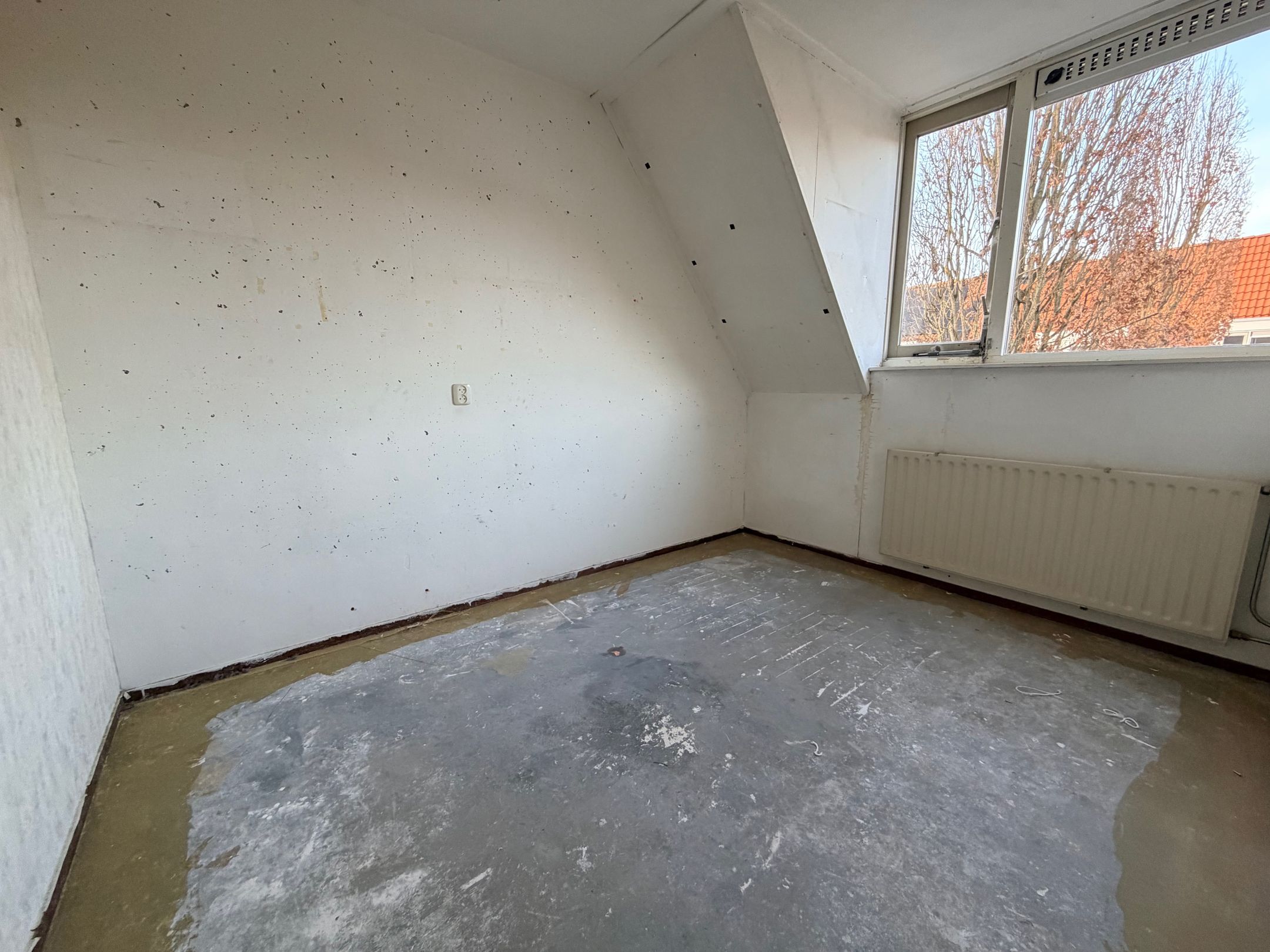 Foto 21 van Kaasjeskruid 23