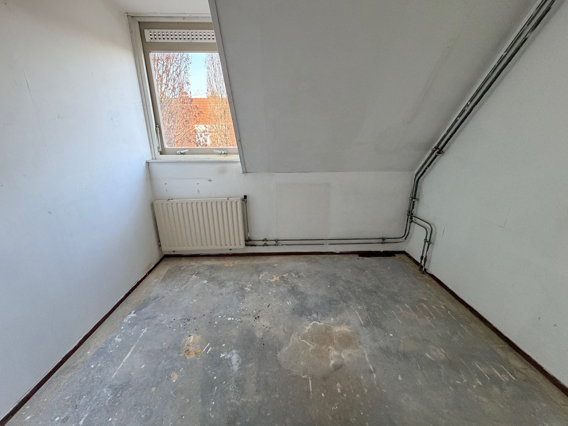 Foto 24 van Kaasjeskruid 23