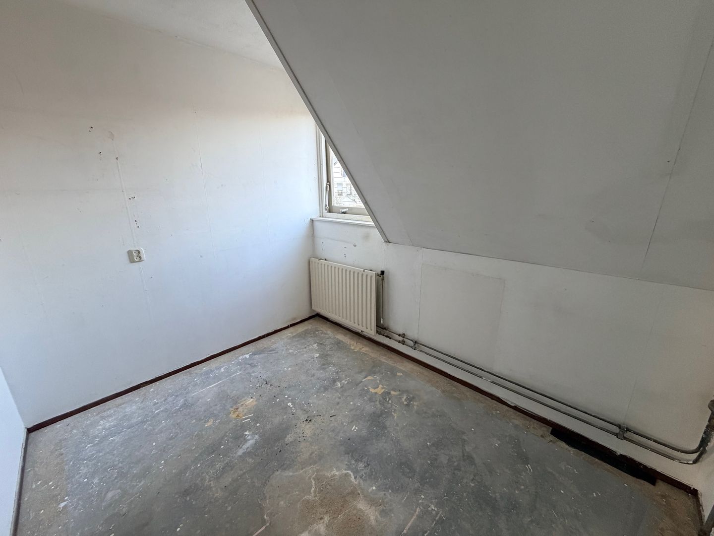 Foto 25 van Kaasjeskruid 23