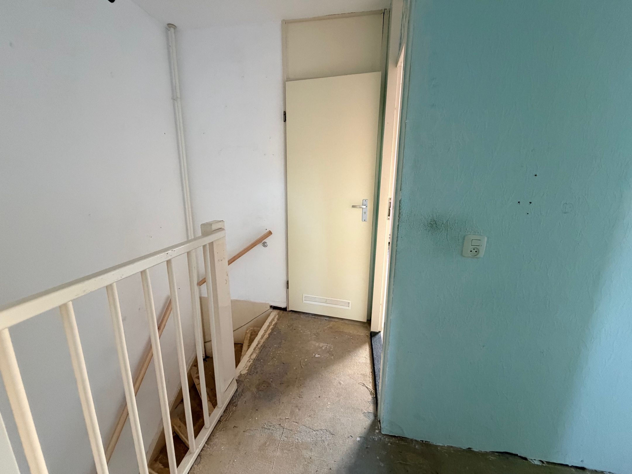 Foto 27 van Kaasjeskruid 23