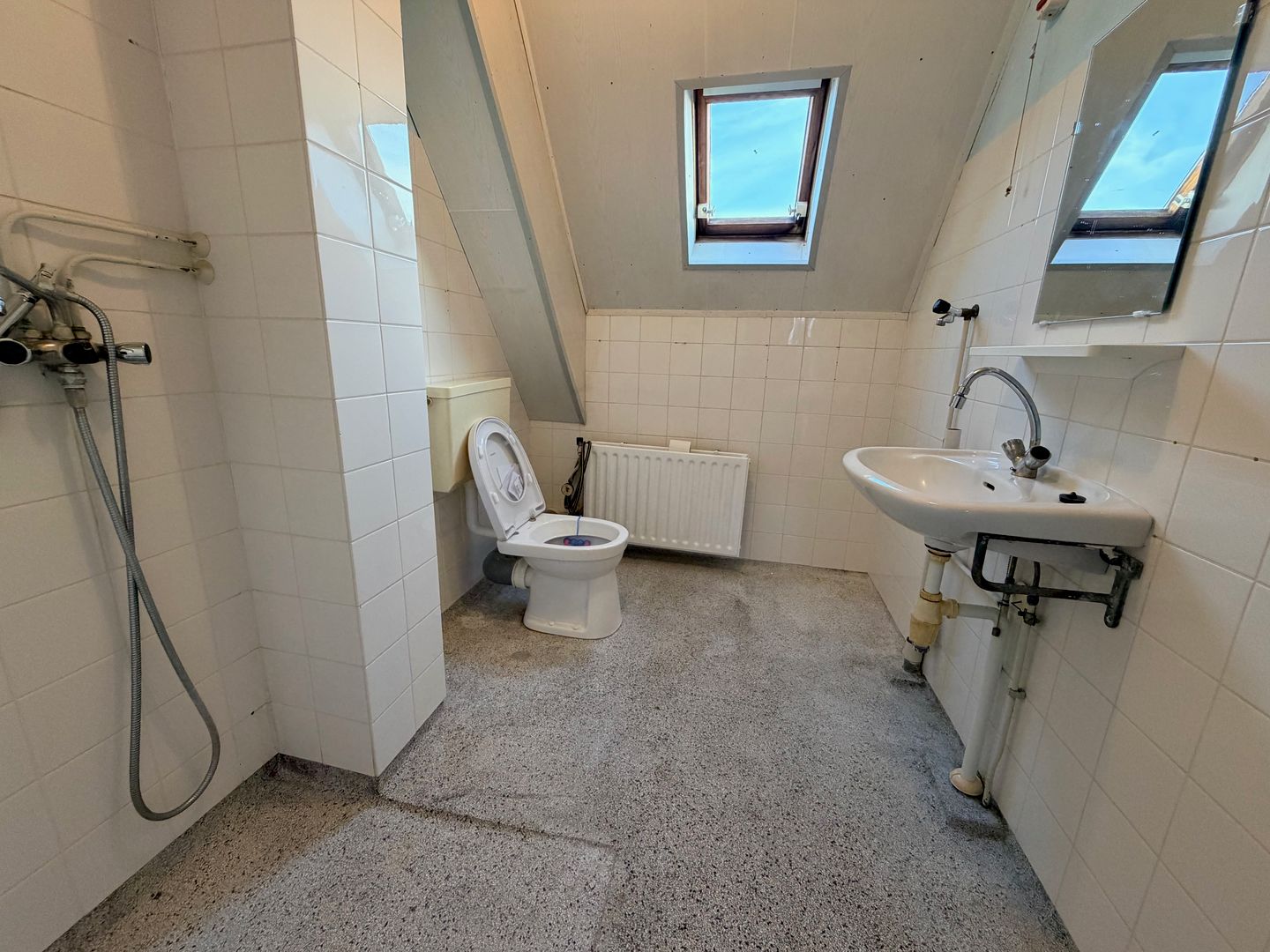 Foto 29 van Kaasjeskruid 23