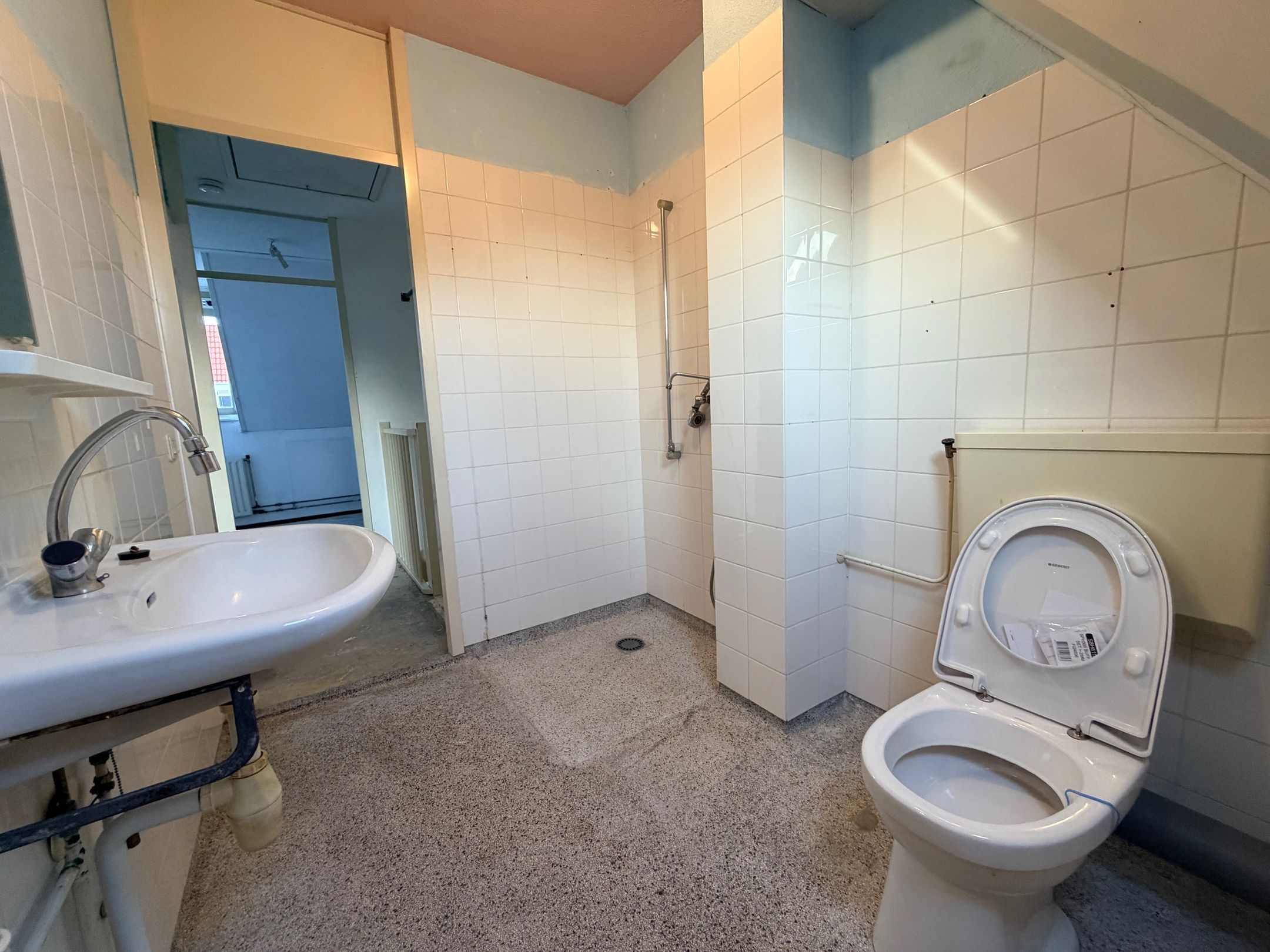 Foto 30 van Kaasjeskruid 23