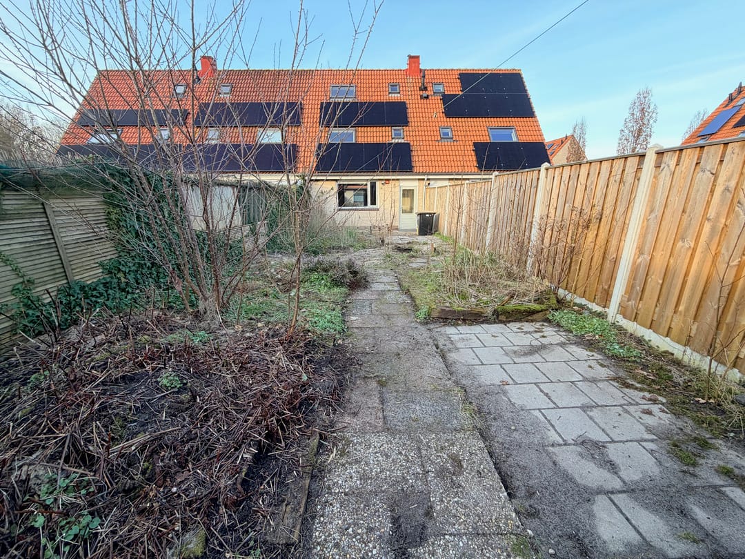 Foto 38 van Kaasjeskruid 23