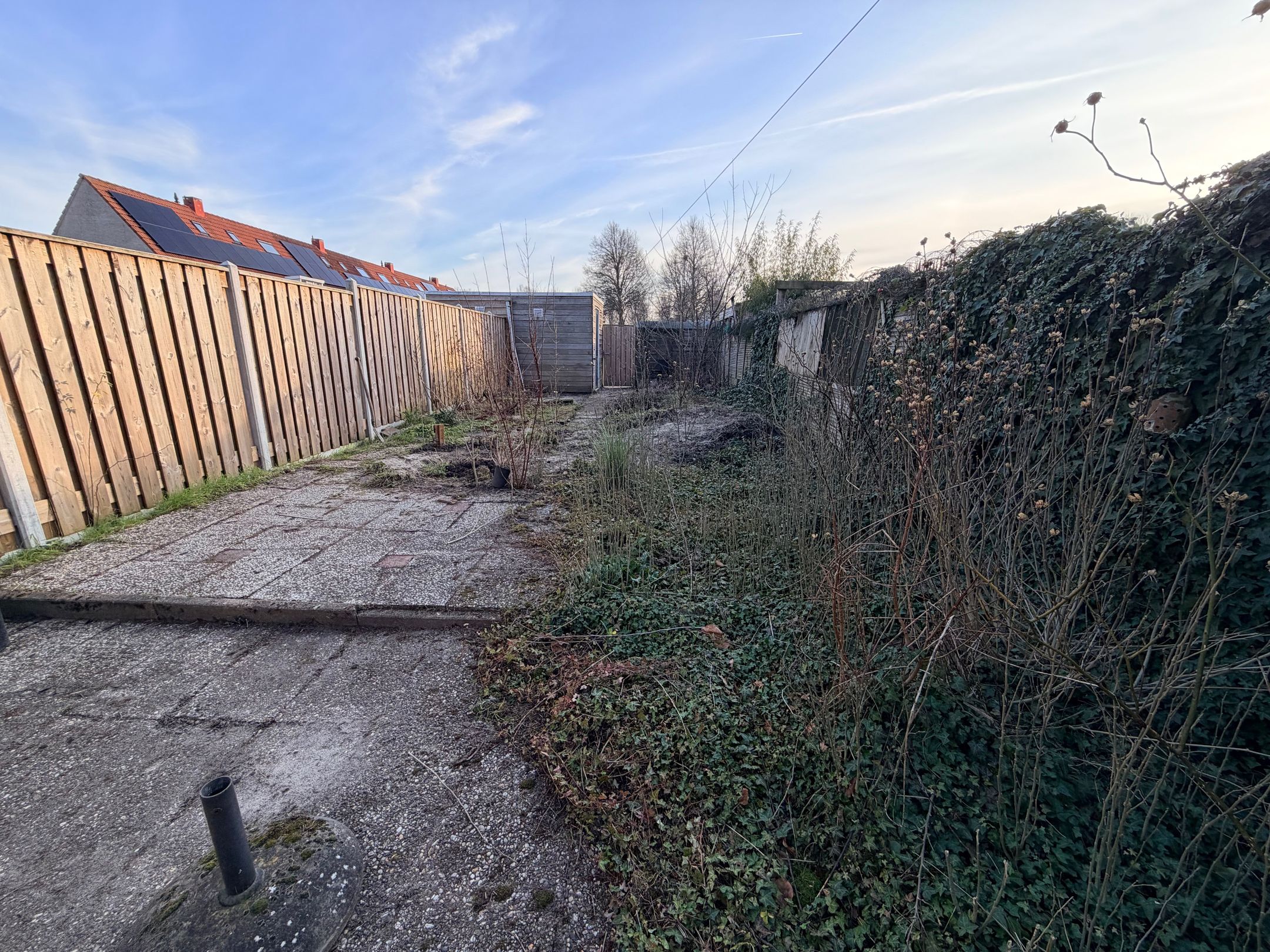 Foto 39 van Kaasjeskruid 23