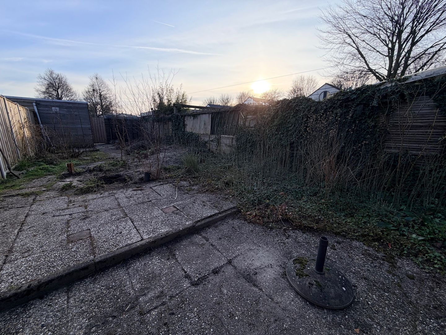 Foto 40 van Kaasjeskruid 23