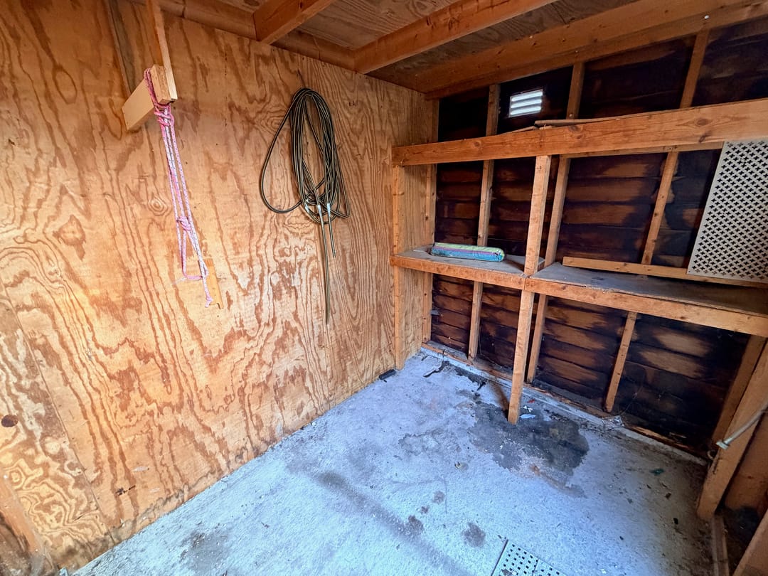 Foto 43 van Kaasjeskruid 23