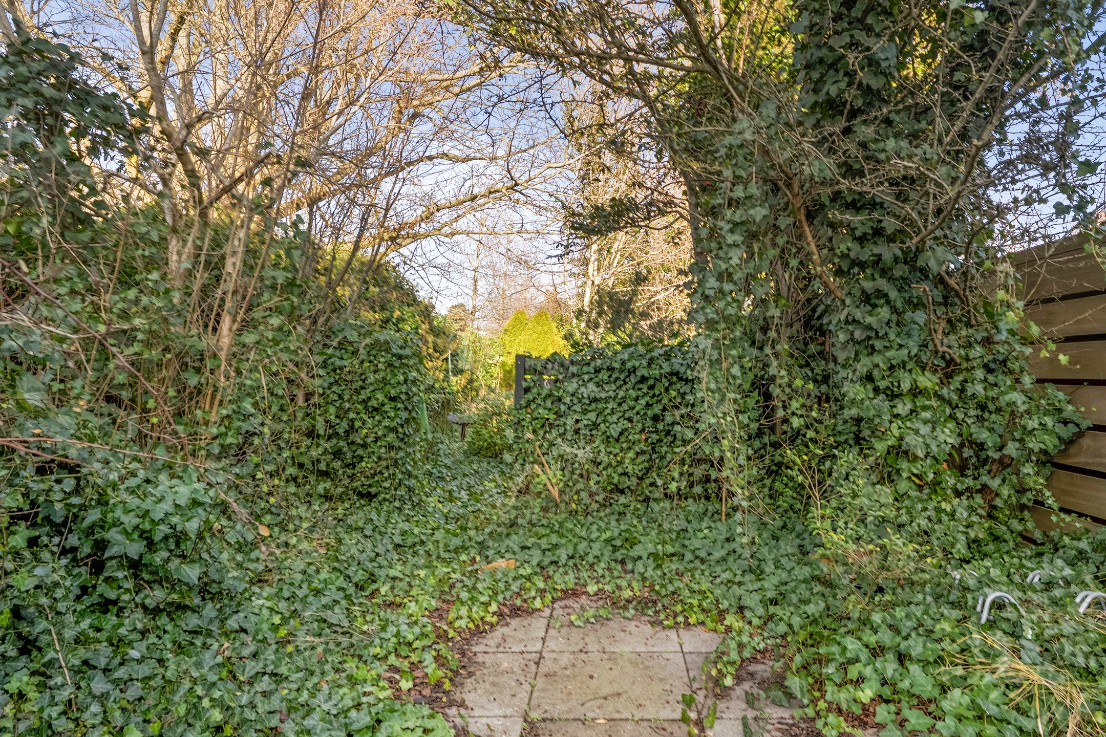 Foto 36 van Franz Lehárlaan 75