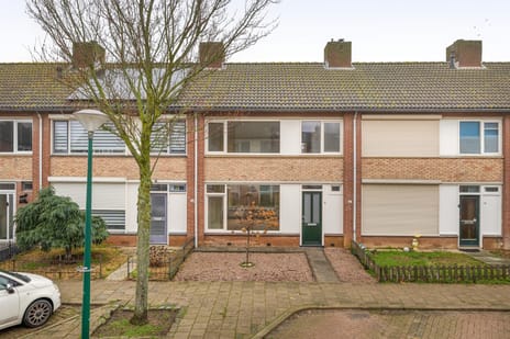 undefined main image