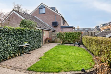 Goudmos 41 secondary image