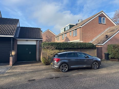 Goudmos 41 tertiary image