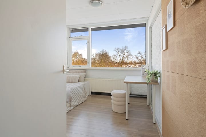 Photo 18 of Jacob van Ruijsdaelstraat 40-C