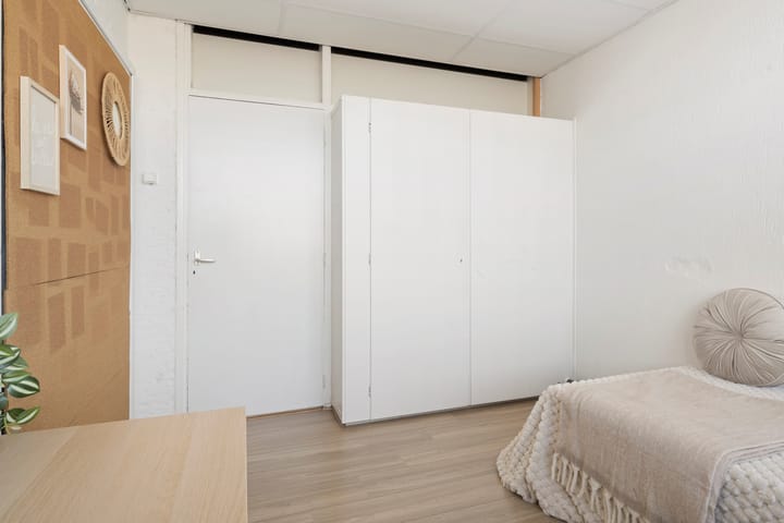 Photo 22 of Jacob van Ruijsdaelstraat 40-C