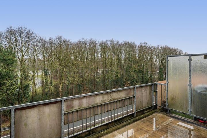 Photo 31 of Jacob van Ruijsdaelstraat 40-C