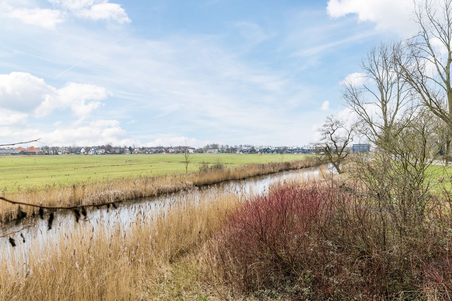 Foto 35 van Lisdoddelaan 37