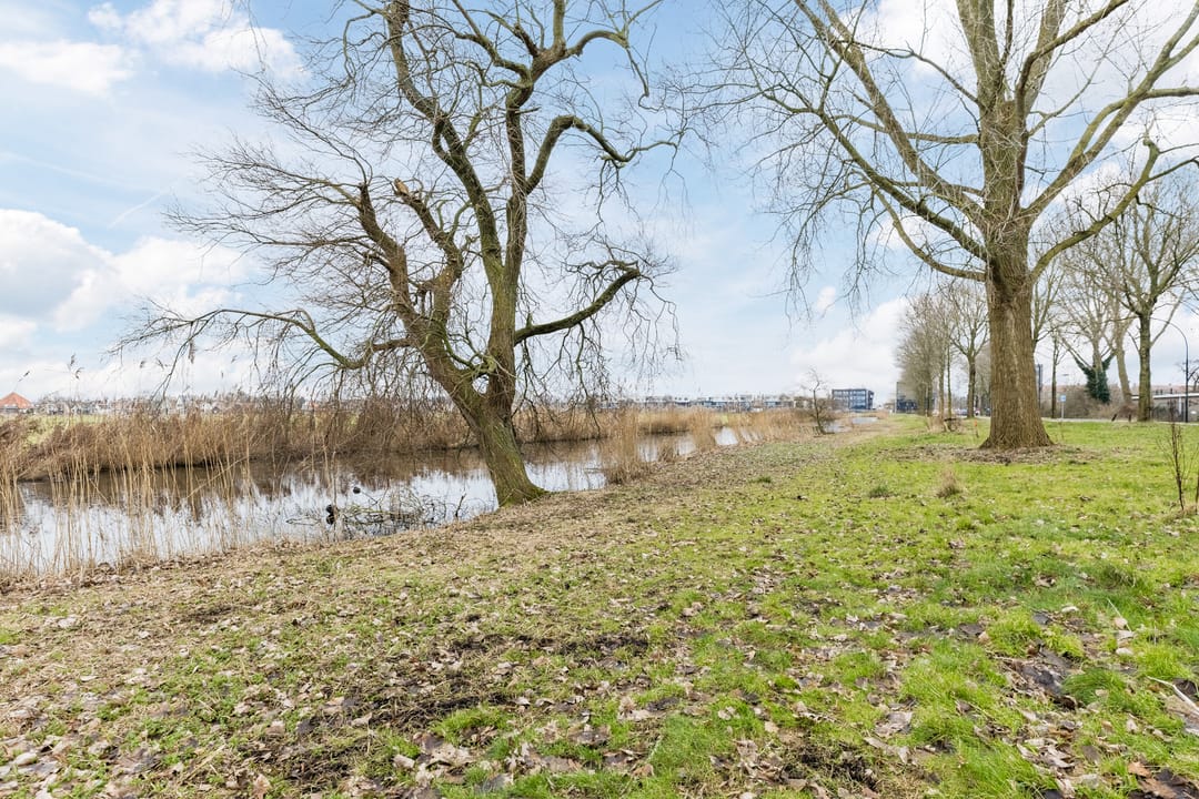 Foto 37 van Lisdoddelaan 37