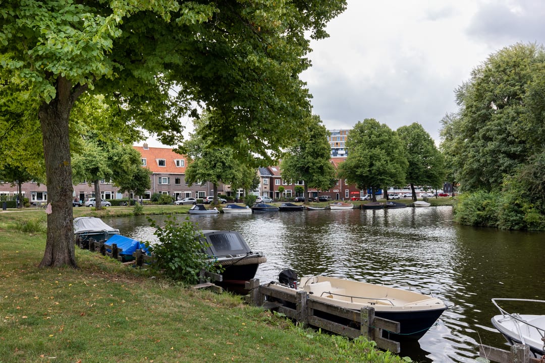 Photo 38 of Kloppersingel 141