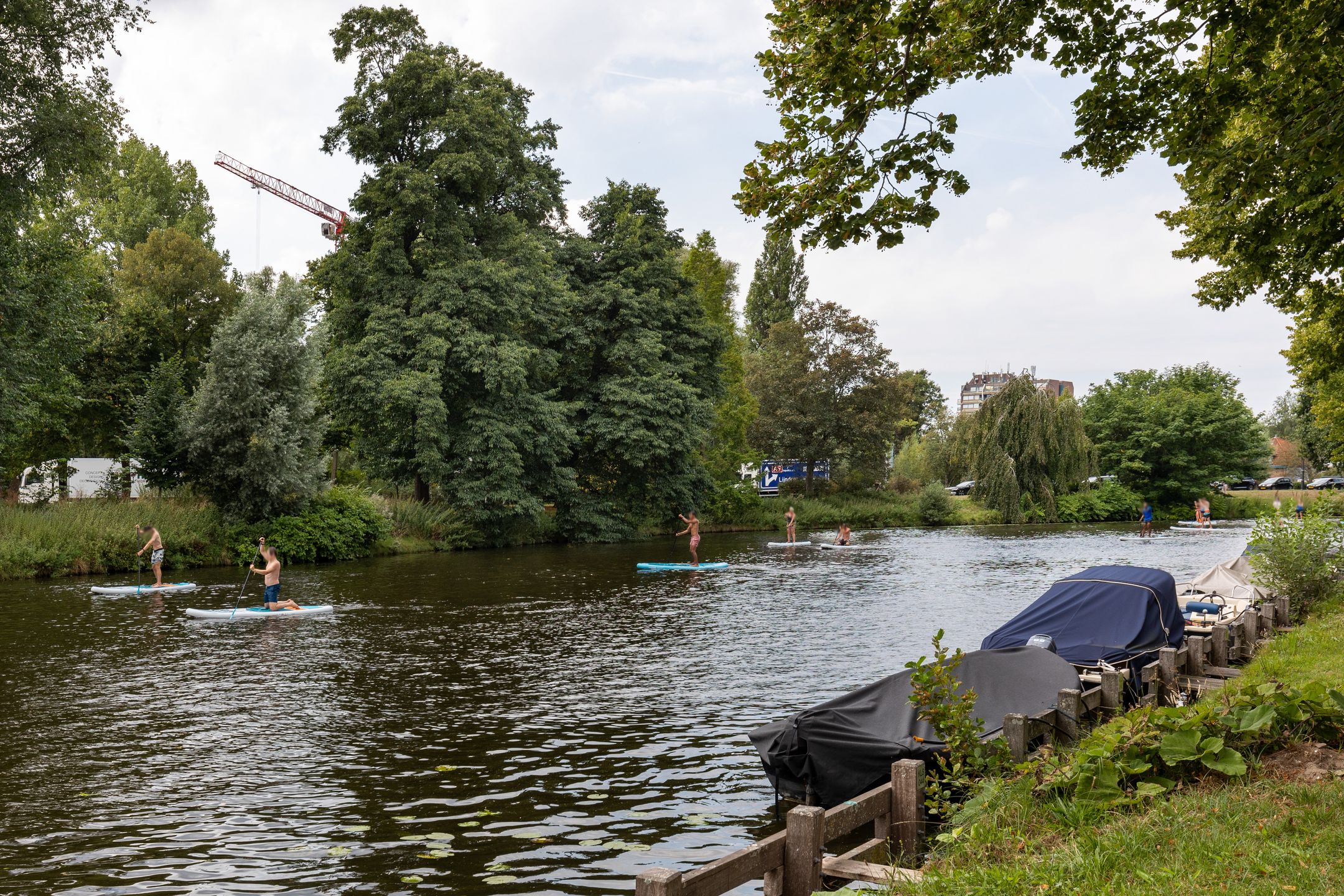 Photo 39 of Kloppersingel 141