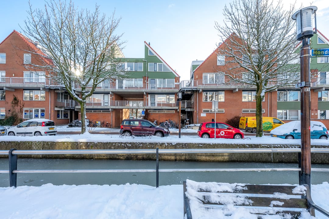 Foto 46 van Hondsrug 207