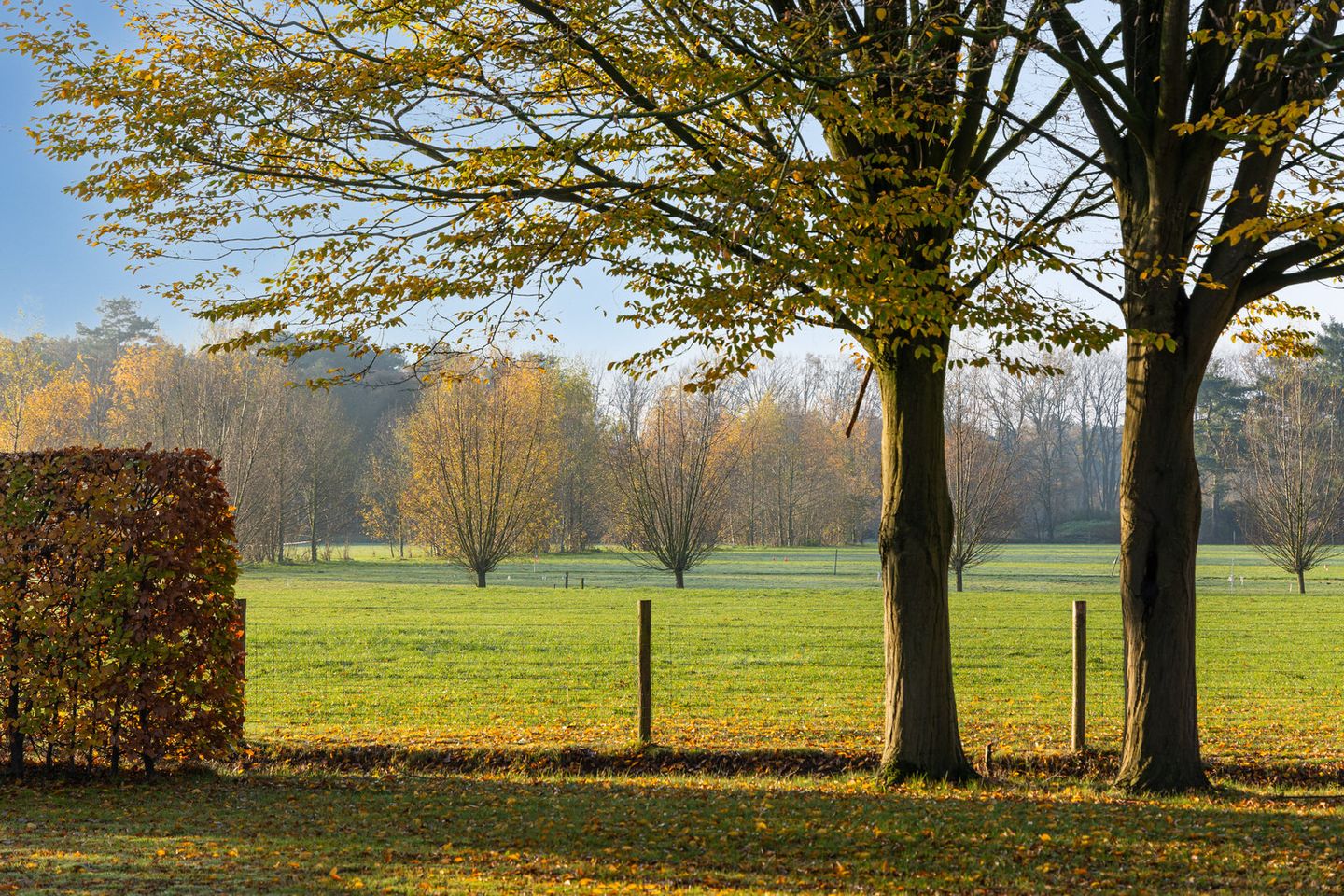 Foto 35 van Eikenlaan 13