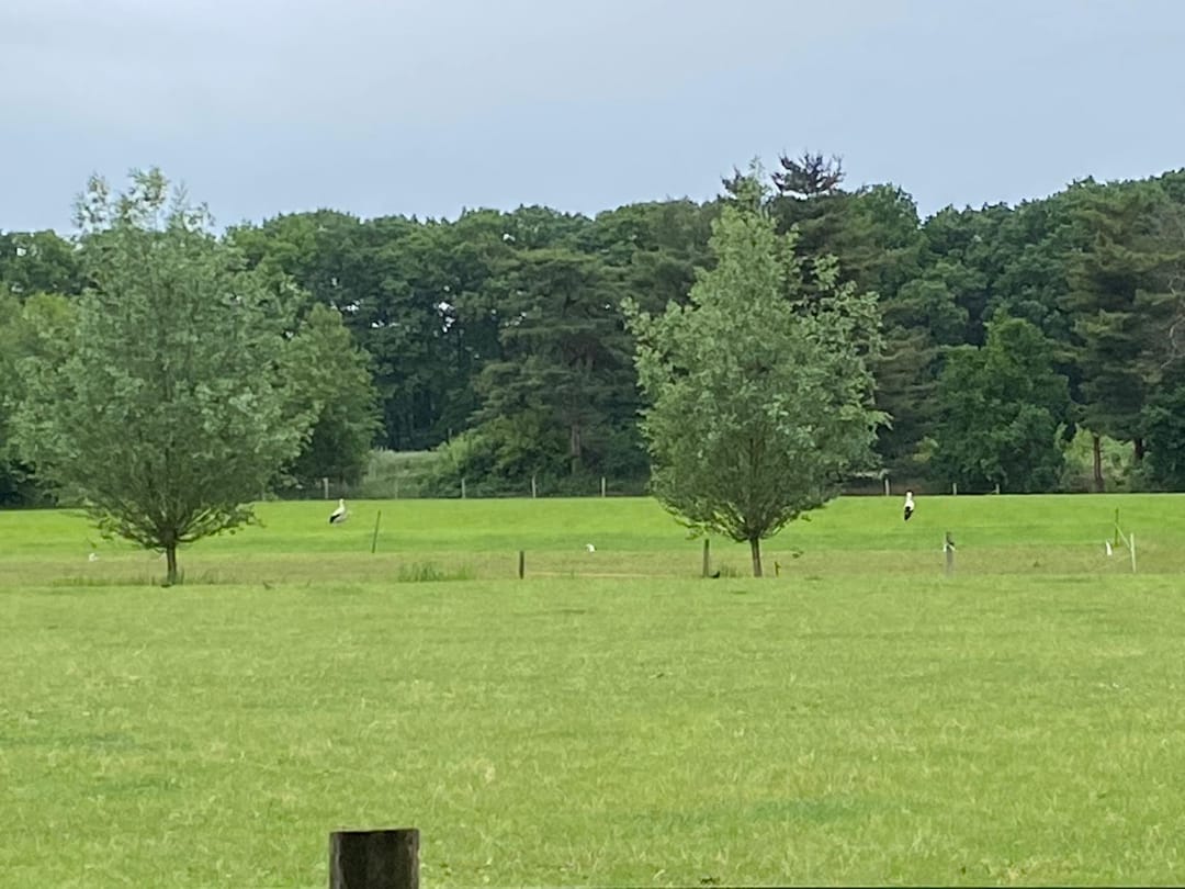 Foto 37 van Eikenlaan 13