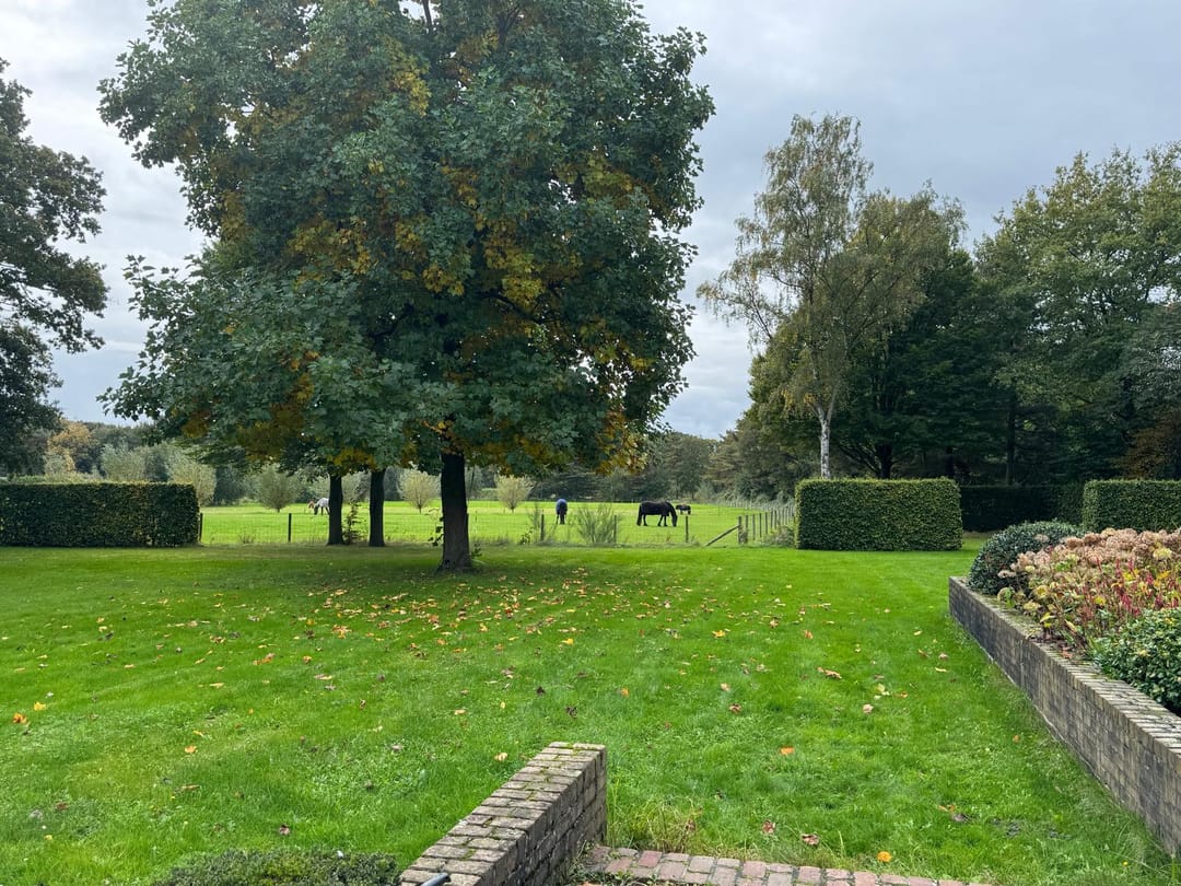 Foto 41 van Eikenlaan 13