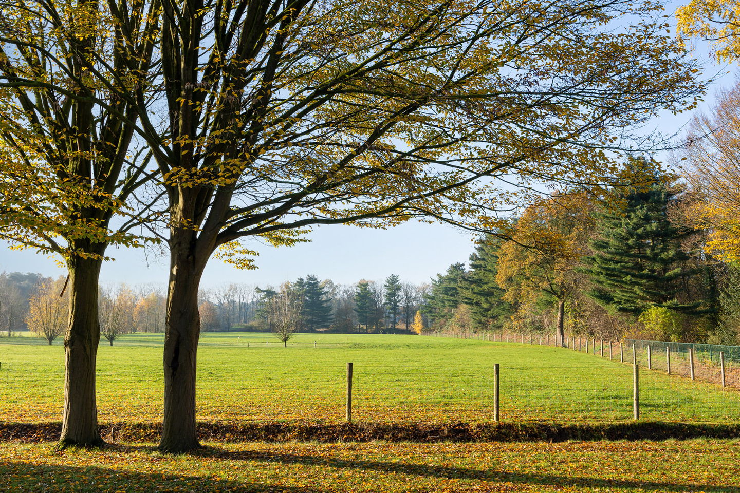 Foto 34 van Eikenlaan 13