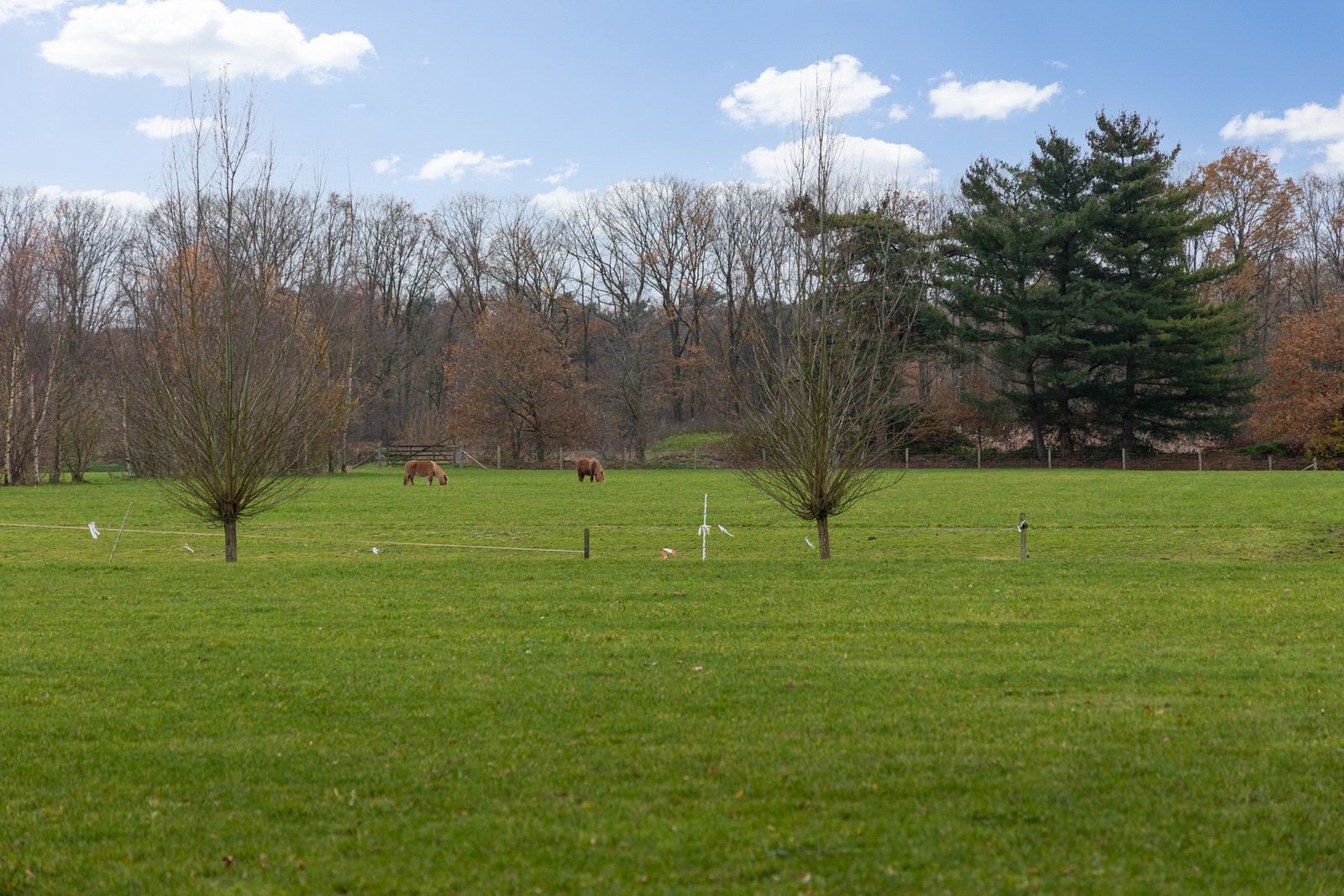 Foto 36 van Eikenlaan 13