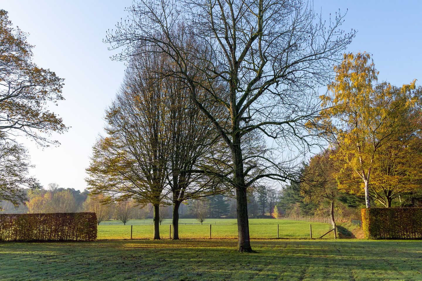 Foto 40 van Eikenlaan 13