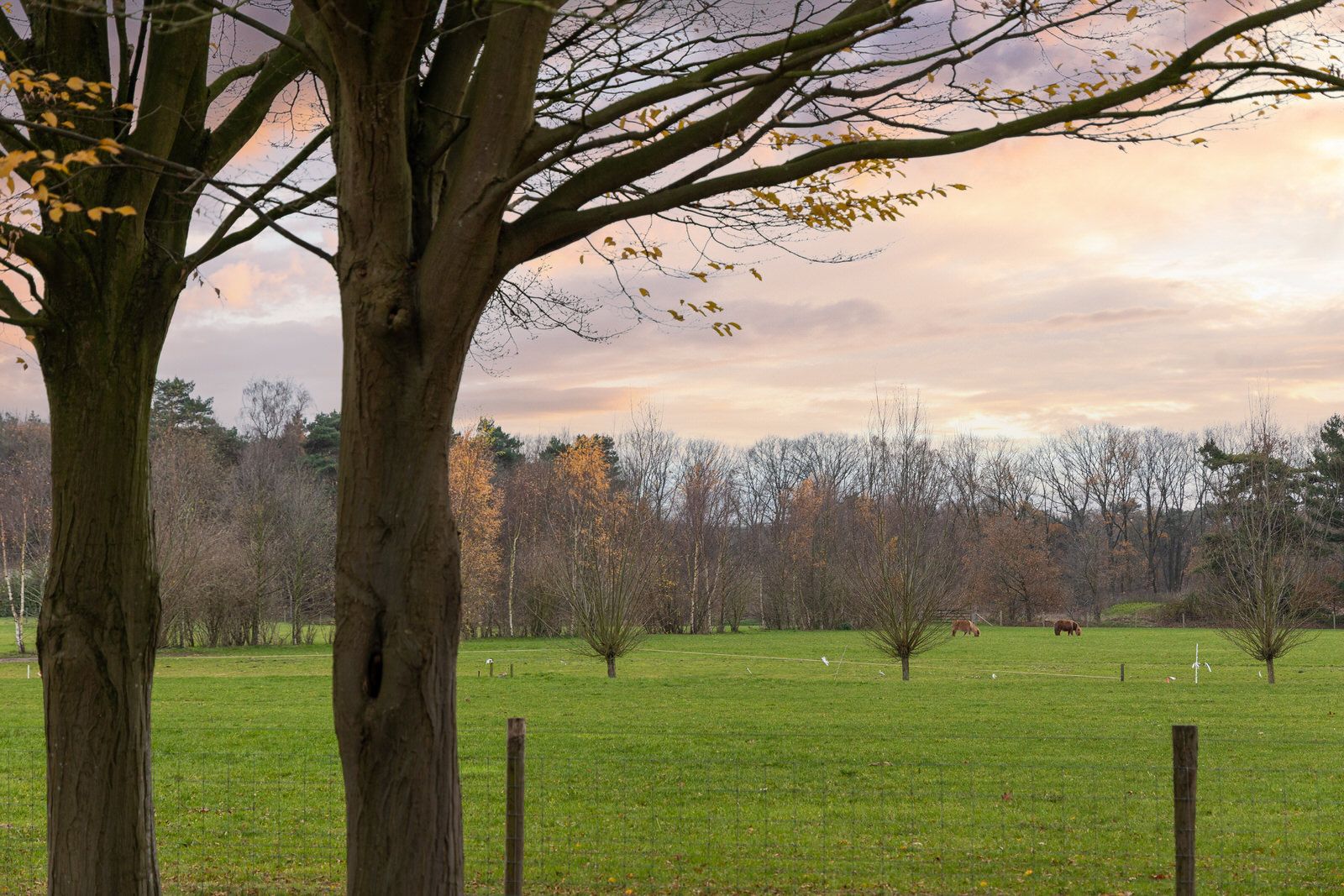 Foto 33 van Eikenlaan 13