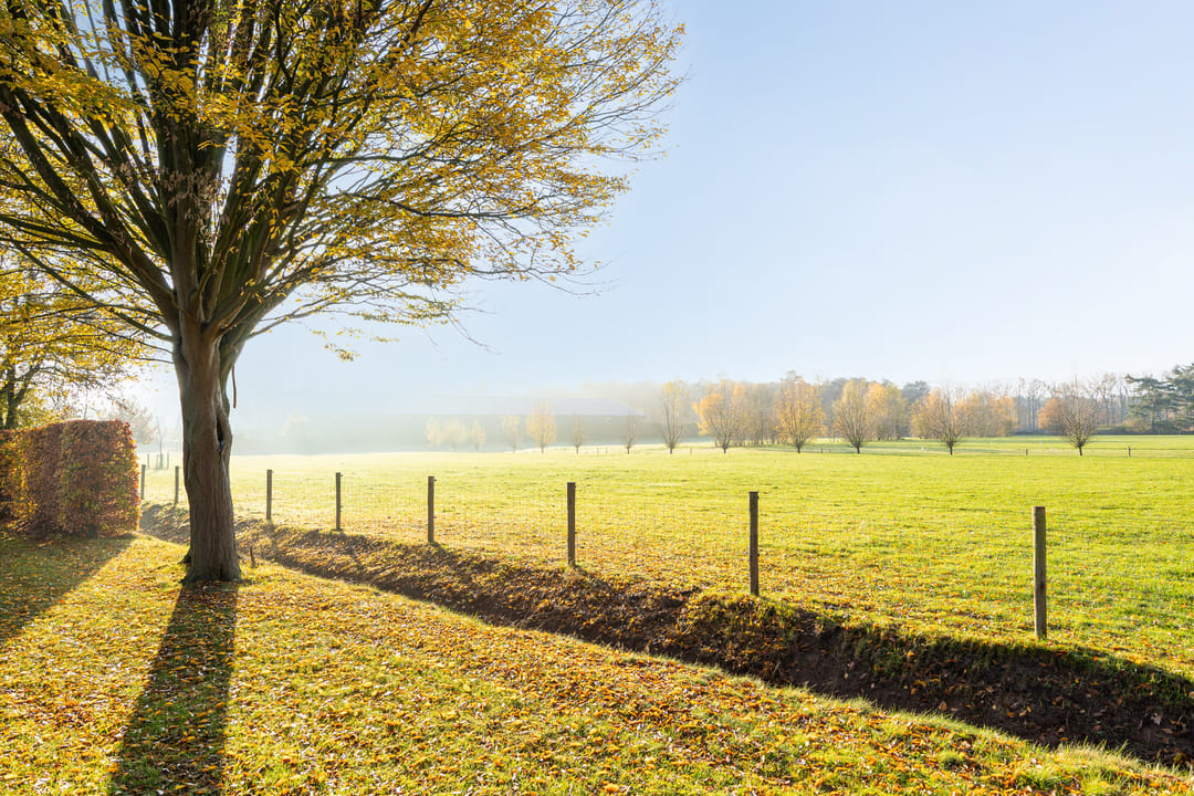 Foto 38 van Eikenlaan 13